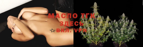 скорость Новозыбков