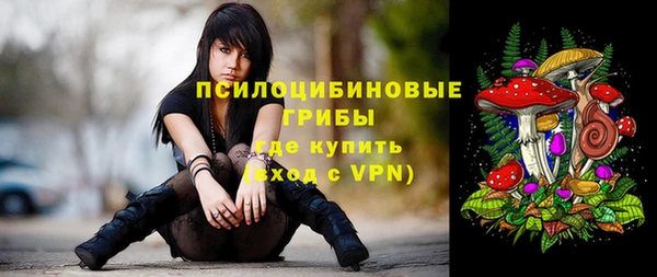 ECSTASY Майский